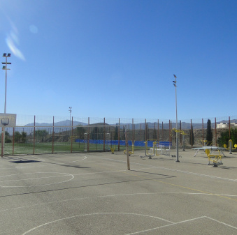 تربیت بدنی