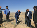 برگزاری آیین روز درختکاری در دانشگاه فسا