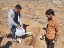 برگزاری آیین روز درختکاری در دانشگاه فسا به مناسبت هفته منابع طبیعی