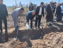 برگزاری آیین روز درختکاری در دانشگاه فسا به مناسبت هفته منابع طبیعی