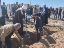 برگزاری آیین روز درختکاری در دانشگاه فسا به مناسبت هفته منابع طبیعی