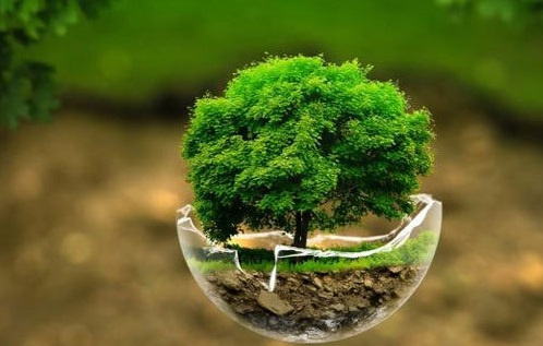 برگزاری وبینار پخش سیلاب و نقش آن در بهبود منابع آب زیر زمینی