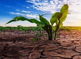 آغاز به کار "دومین همایش ملی کم آبیاری و استفاده از آبهای نامتعارف در کشاورزی مناطق خشک" در دانشگاه فسا