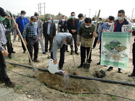 برگزاری مراسم هفته درختکاری در دانشگاه